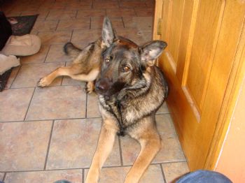 kklaren13 profile photo