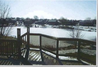 dkennedy profile photo