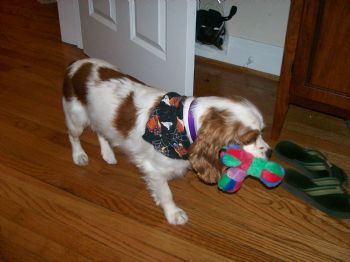 bmcain profile photo