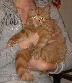 CMUWXGirl profile photo