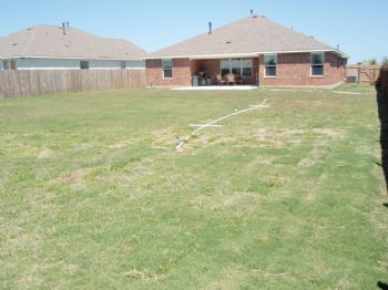 LuvLife profile photo