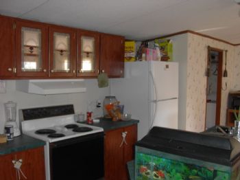 babygirlmcki profile photo