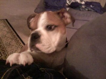 country.boy profile photo