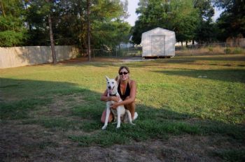 sem72282 profile photo