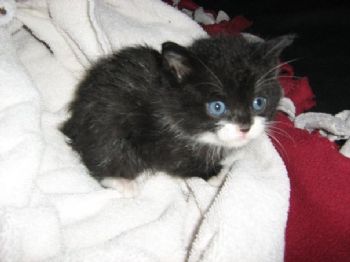 Lizzybean profile photo