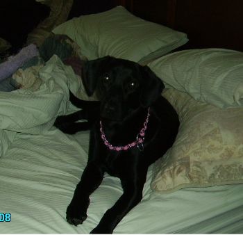 shels39 profile photo