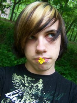 nickdiffey profile photo