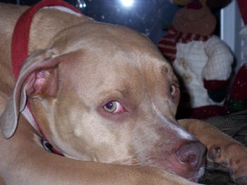 Tawnya profile photo