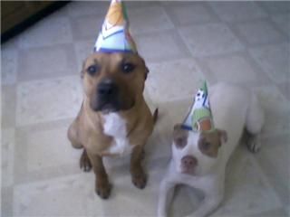 yourangel profile photo