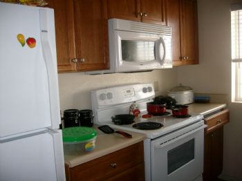 ladee93534 profile photo