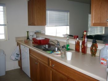 ladee93534 profile photo