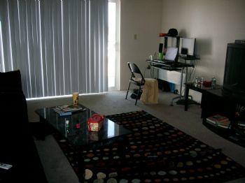 ladee93534 profile photo