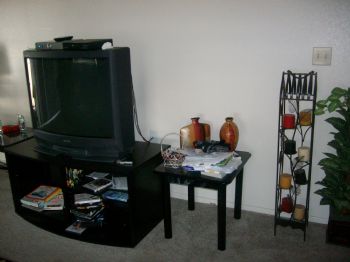 ladee93534 profile photo