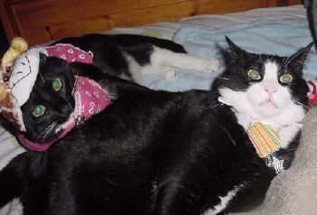 jrcrazyx2 profile photo