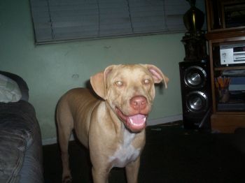 jaybay82987 profile photo