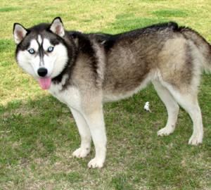 lilmomma1987 profile photo