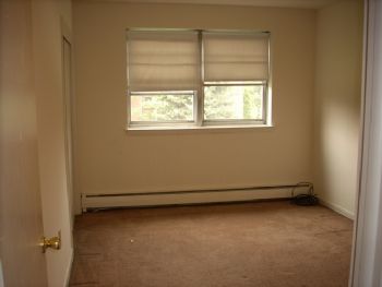 aprlshwrs profile photo