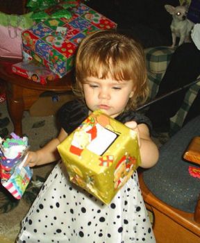 netterbug profile photo