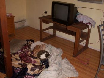 giboni profile photo