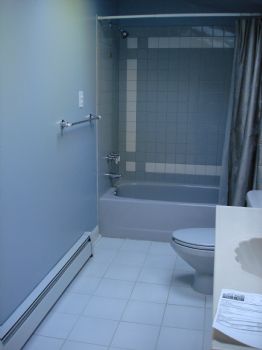 alicat29 profile photo