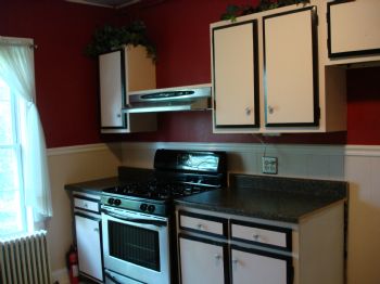 alicat29 profile photo