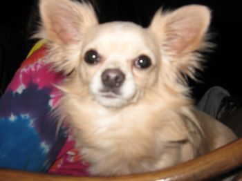 buttersandme profile photo