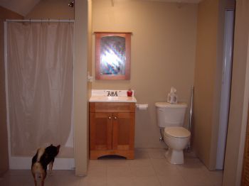 mikepic profile photo