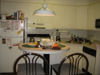 summer08 profile photo