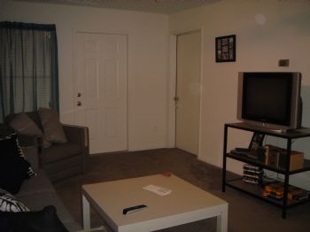 summer08 profile photo