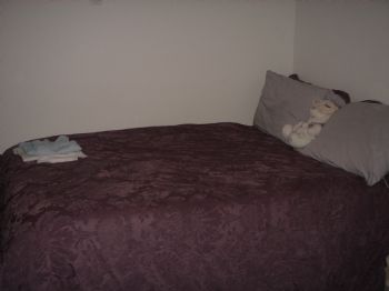 summer08 profile photo