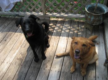 alpinmd profile photo