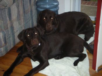 allidearc profile photo