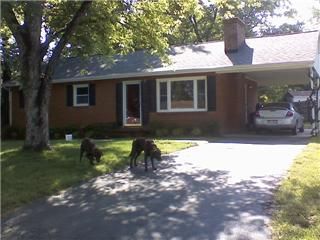 allidearc profile photo