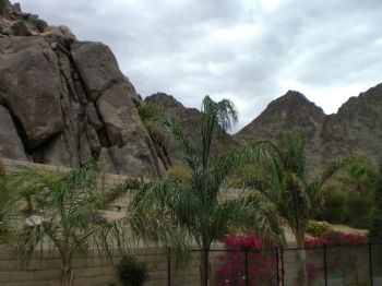 kkrissy profile photo