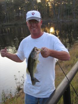 condo222 profile photo