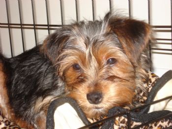 heathermarie profile photo