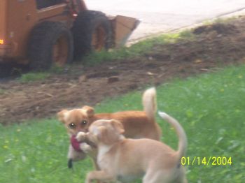 mtngirl1948 profile photo