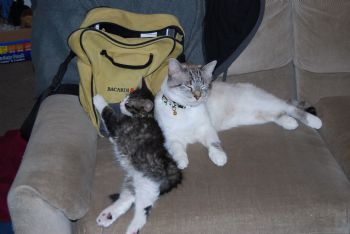 peachy88 profile photo