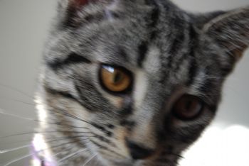 peachy88 profile photo