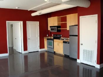 MSUPalmer profile photo