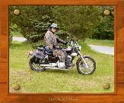 raybear6740 profile photo