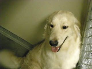 Jle6836 profile photo