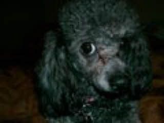 Jle6836 profile photo