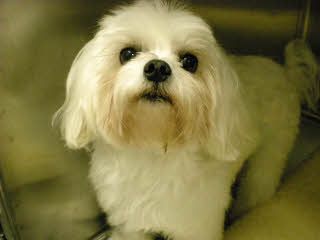 Jle6836 profile photo