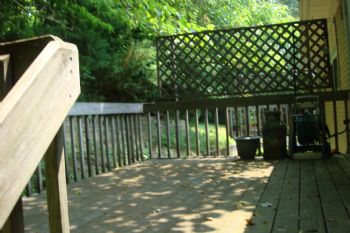 mssandya profile photo