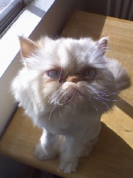 kmattson210 profile photo