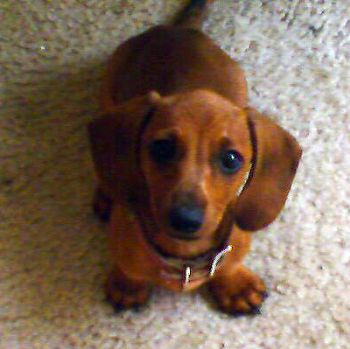 bio72301 profile photo