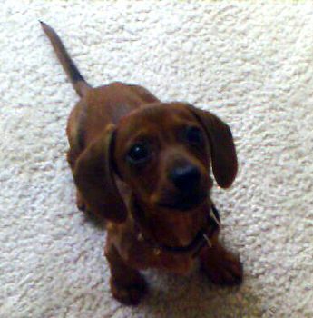 bio72301 profile photo