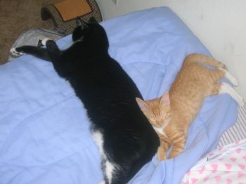 pinkboss19 profile photo