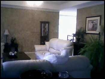 steph9616 profile photo